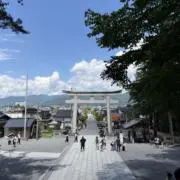 ぽんたの画像