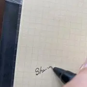 シャウアプフ
