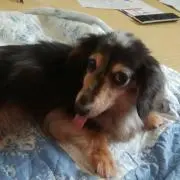 くるみの画像