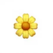 honey_bの画像