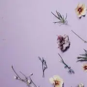 chiの画像