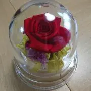 絶賛☆断捨離中