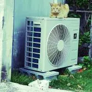 ちゃいず☆