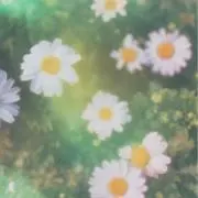 ももの画像