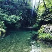 TANTIKIの画像