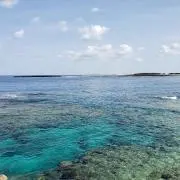 プロフィール見てくださいの画像