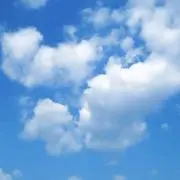 ソララの画像