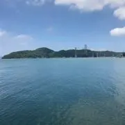 じゃがの画像