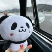 もなかの画像