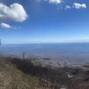 AA