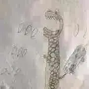 Supreme D.J. Nyborn - I Get Funky レアミドル - メルカリ