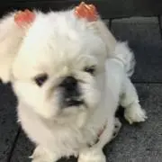 C ・ゝ・Dの画像