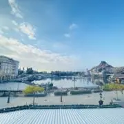 りんりんの画像