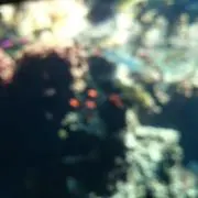 やぎの画像
