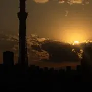 ナオカ