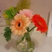 くじら