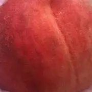 おかあの画像