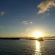Ｙ