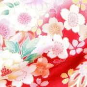 きなこの画像