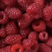 pppの画像