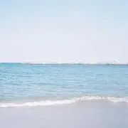 麦の画像