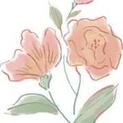 さき/フォロー割引有/値下げ交渉可の画像