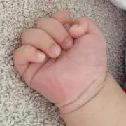 はぴねすの画像