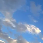 さなの画像