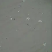 mの画像