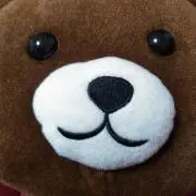 ふーさんの画像