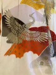 オリヅルの画像