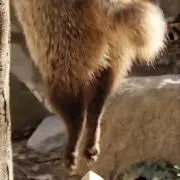 purewaterの画像