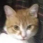 Jeikei