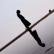 ばいそんの画像