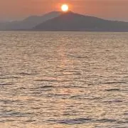 Yamaの画像