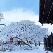とどろき