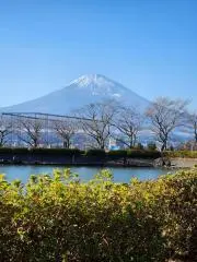 片山 元の画像