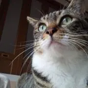 まーちゃん