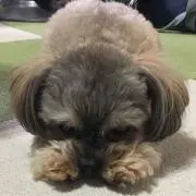 オクちゃん