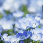 Mire プロフ確認お願いします。の画像