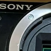 ミヤ