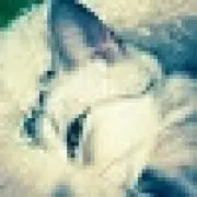 create sound　tomoの画像