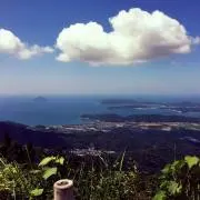 ima73の画像