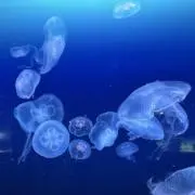 mike32の画像