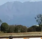 pampiの画像
