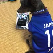 ナイキ