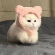 ᧉ♡の画像