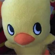 coco プロフィール必読お願いします