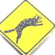 RRRの画像