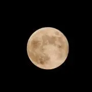 在庫確認お願い致します(⋆ᵕᴗᵕ⋆)